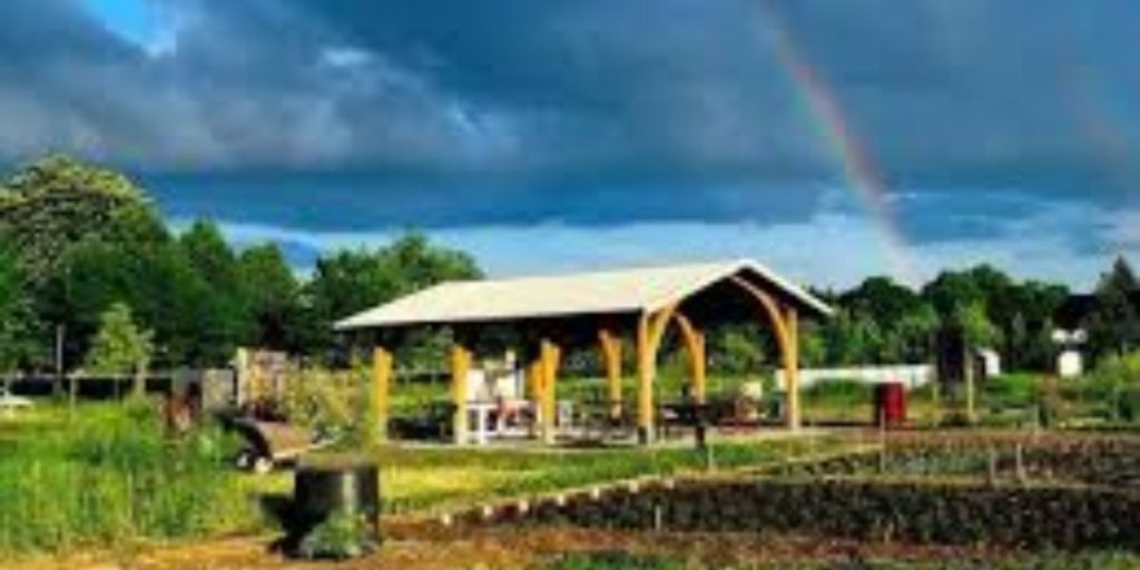 Alice's Garden et avis