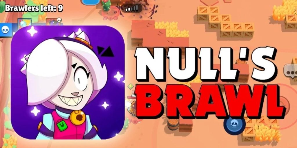 Avis sur Null’s Brawl