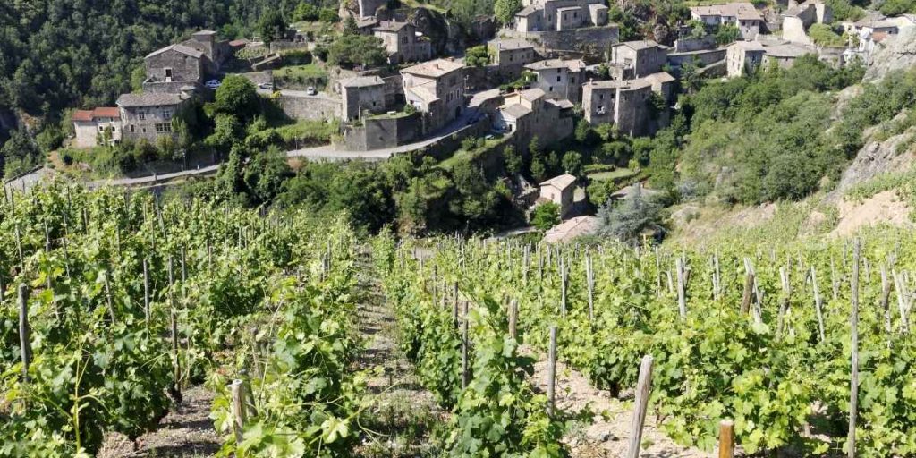 Walibi Rhône-Alpes Avis 2025