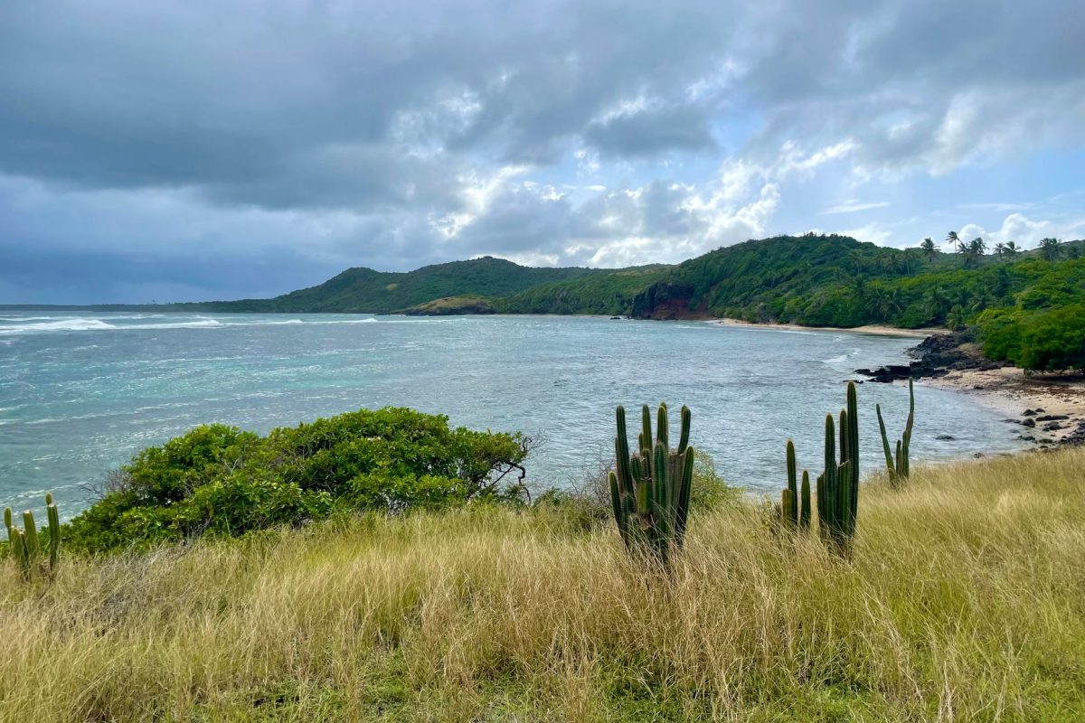 Les avis d&rsquo;obsèques en Martinique : essentiel mais perfectible
