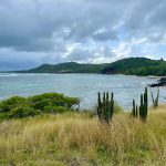 Les avis d&rsquo;obsèques en Martinique : essentiel mais perfectible