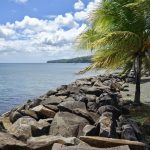 Les avis d&rsquo;obsèques RCI Martinique : une mémoire incomplète ?