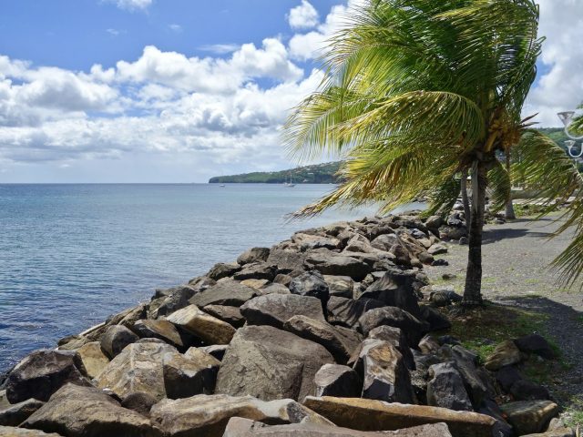 Les avis d’obsèques RCI Martinique : une mémoire incomplète ?