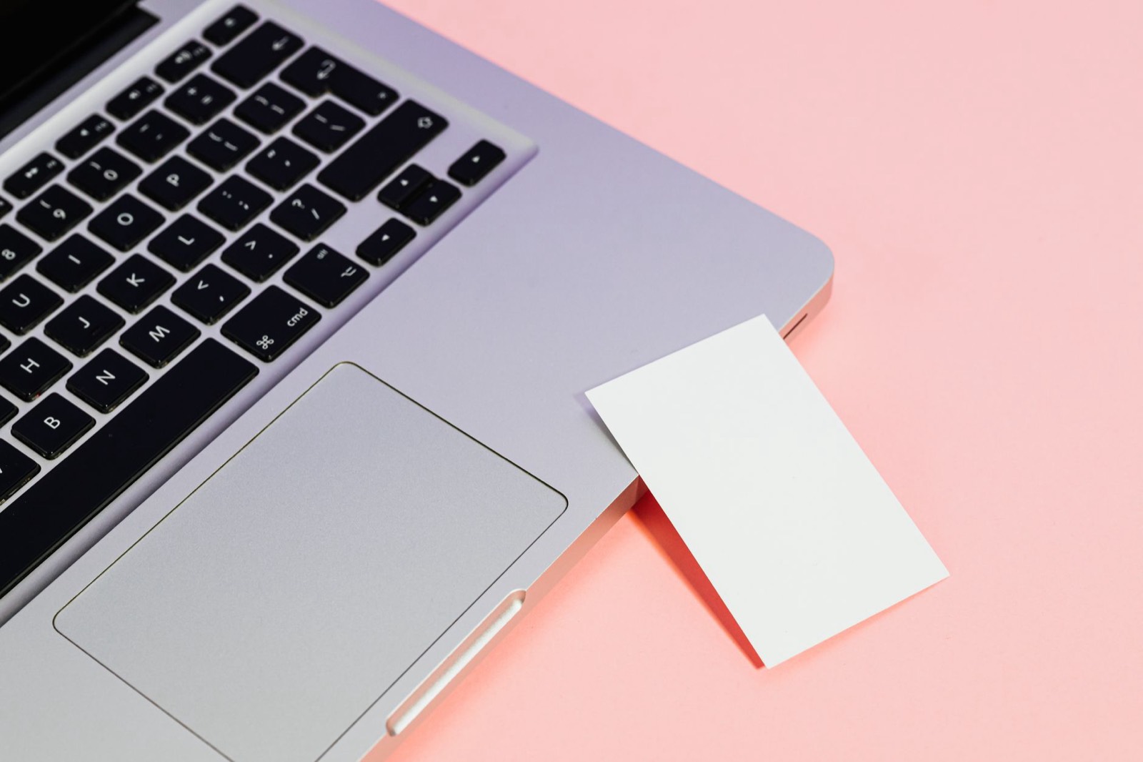 Écran de logiciel affichant une fiche cliente d'esthéticienne